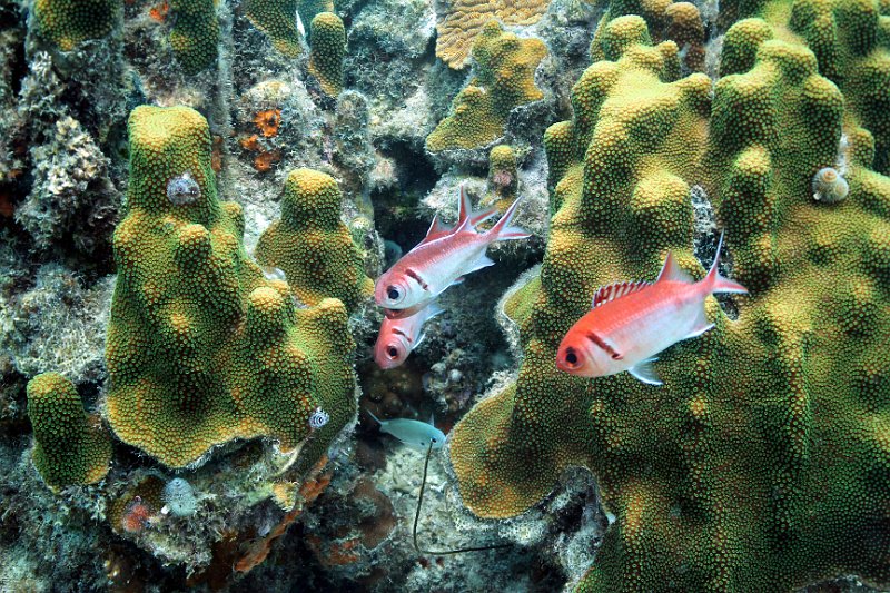Curacao 04-12 200.JPG